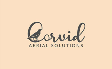 Corvid-arial-solutions